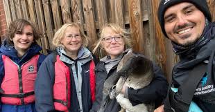 Image result for Hemel Hempstead Bowls Club