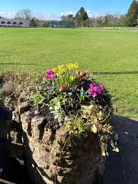 Image result for Horrington Cricket Club