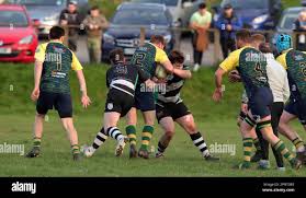 Image result for Llandeilo Rugby Football Club