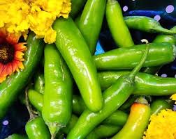 Afbeeldingsresultaat voor numex chimayo hot pepper