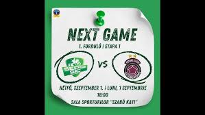 Image result for Deva Handball Club