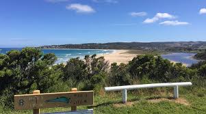 Image result for Apollo Gc