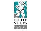 Image result for Little Steps Gym