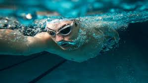 Image result for Swimming