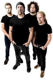 Image result for dordzse