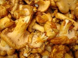 Attēlu rezultāti vaicājumam “Cantharellus cibarius”