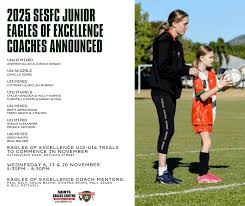 Image result for Junior Eagles Fc