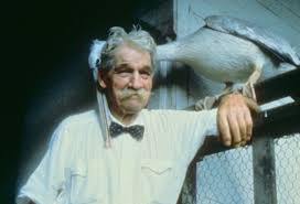 Image result for albert schweitzer