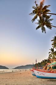 Image result for goa beaches