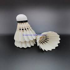 Image result for Shuttlecocks Badminton Club