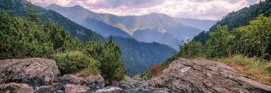 Image result for romania tehron