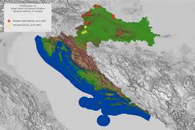 Attēlu rezultāti vaicājumam “Clossiana selene upperside”