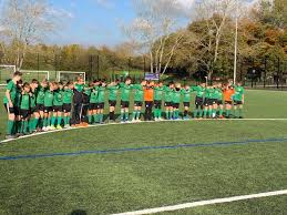 Image result for Leatherhead Football Club