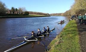 Image result for Cambois Amateur Rowing Club