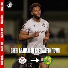 Image result for Caernarfon Football Club