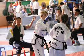 Image result for Wirral UKTA Taekwon-do
