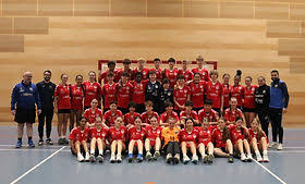 Image result for Great Dane Handball Club, Wapping, London