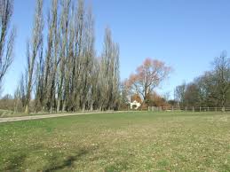 Image result for Earl Soham Bowls Club