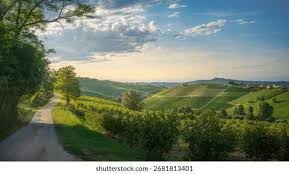 Image result for Hazel Grove