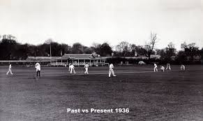 Image result for Old Dorkinian Cricket Club