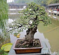 Image result for 艰苦阅历 孔泰初