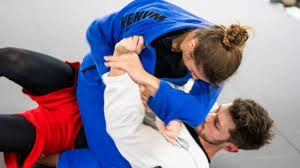 Image result for Revolution Dojo