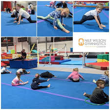 Image result for City Of Coventry Rhythmic Gym Club