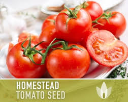 Afbeeldingsresultaat voor cabin tomato