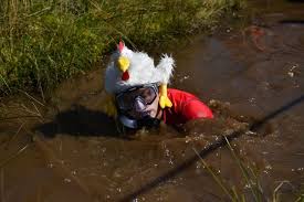 Image result for Bog Snorkelling Championships