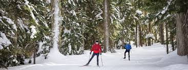 Image result for White Cross Ski Club