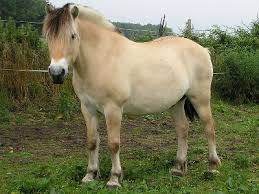 images?q=tbn:ANd9GcTS4oRi9Fb5eyPy5HtH9M9D2Z8B1acqm9FtE8WL7qR5ZlgjG0yw