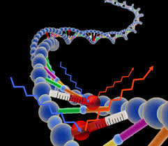 Image result for Graham Spicer Institute