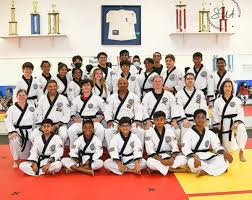 Image result for Everitt Karate Academy