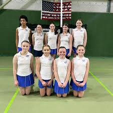 Image result for Plymouth Civil Service Netball Club
