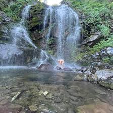 Image result for cascate del dardagna