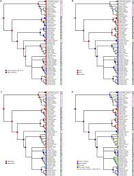 Attēlu rezultāti vaicājumam “Arcyria, Heterotrichia sp.”