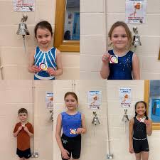 Image result for Forest Of Dean Gymnastics Club