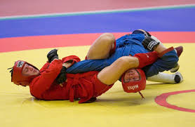 Image result for Combat Sambo