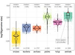 Image result for genome sizes