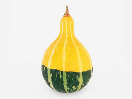 Attēlu rezultāti vaicājumam “Cucurbita pepo fruit”