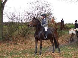Image result for Palmers Riding Stables