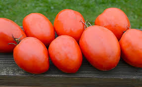 Afbeeldingsresultaat voor amish paste tomato