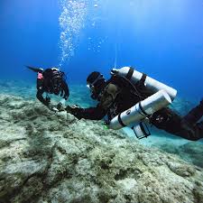Image result for TAL Divers