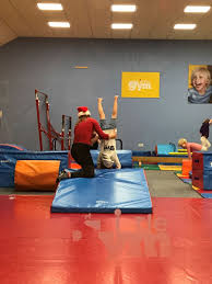 Image result for Harrogate School Of Gymnastics