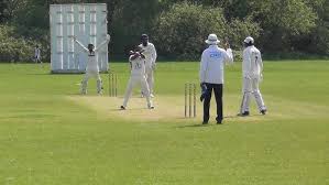 Image result for Roding Valley Cricket Club