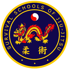 Image result for Kidderminster Martial Arts Academy