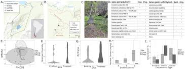 Attēlu rezultāti vaicājumam “Nowellia curvifolia sporophyte”
