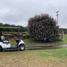 Image result for Fenners Bowls Club