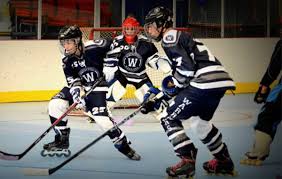 Image result for Walsall Roller Hockey Club