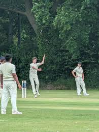Image result for Chard Cricket Club